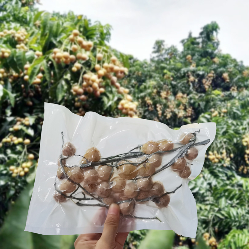 Bolsa vacío almacenamiento de alimentos compostables de grado alimenticio 