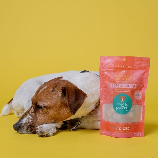 Proveedores de bolsas para animales secos naturales compostables que se pueden volver a sellar sostenibles