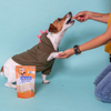 El 100% biodegradable compostable industrial sostenible del alimento para animales que empaqueta el perro trata el bolso